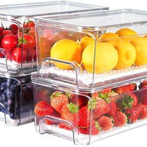 Pull-Out Fridge Organizer
